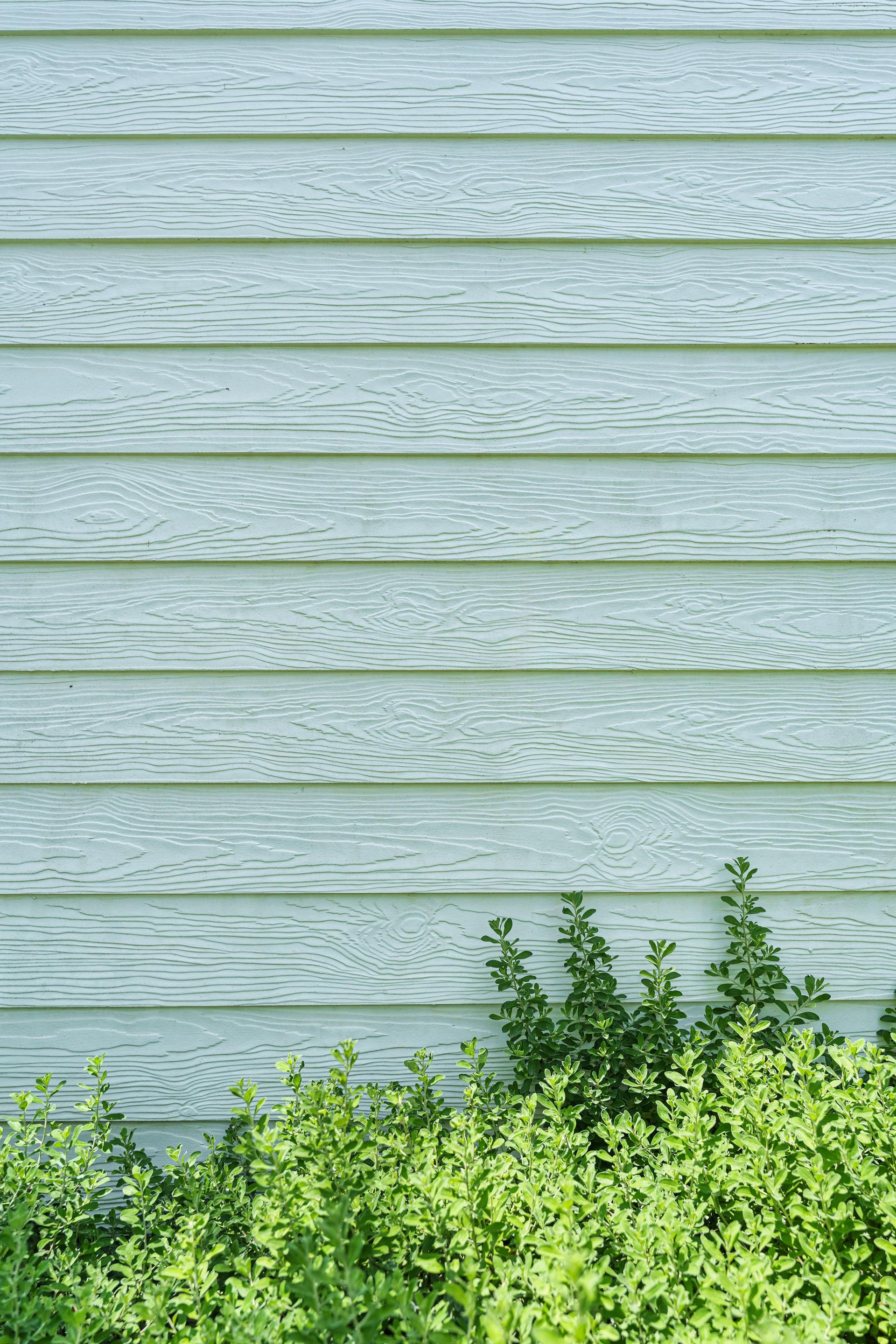 Painted wood panel with green leaves in front of house